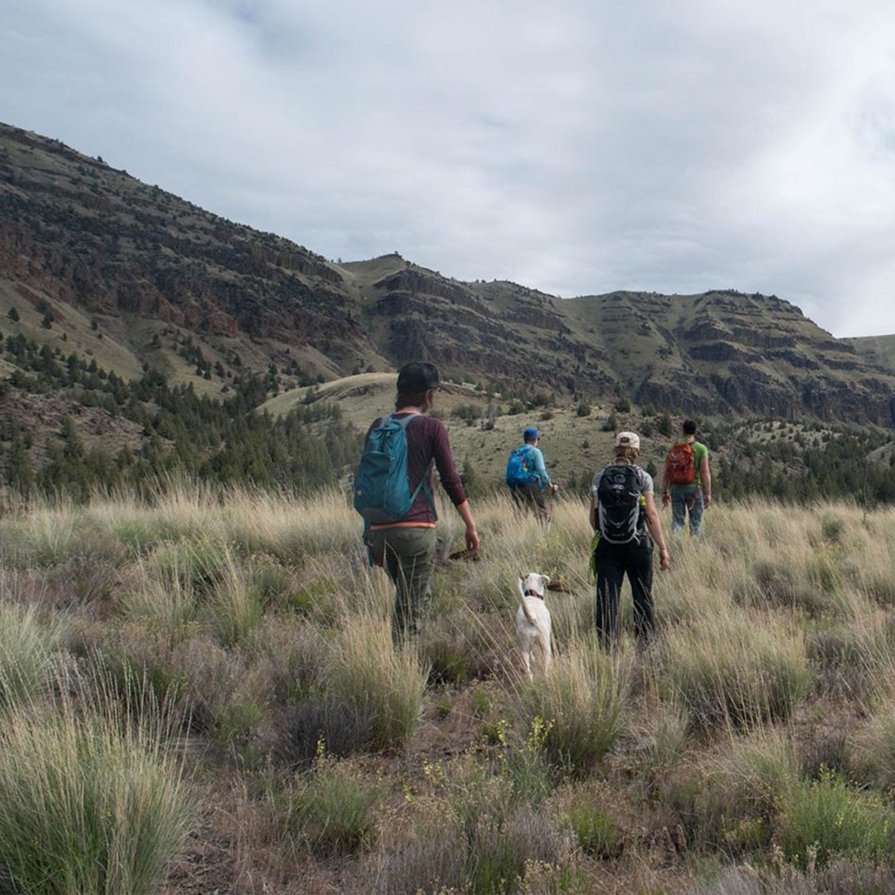 Oregon Natural Desert Association x Mountain Shop: How to Recreate Safely in Oregon's High Desert